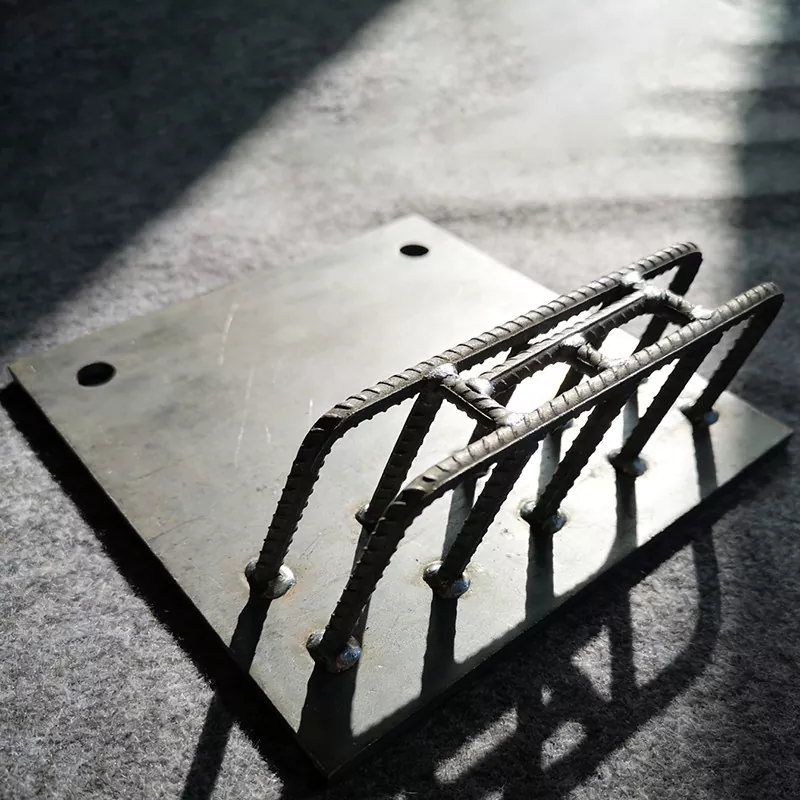 Aingura-plaka txertatua